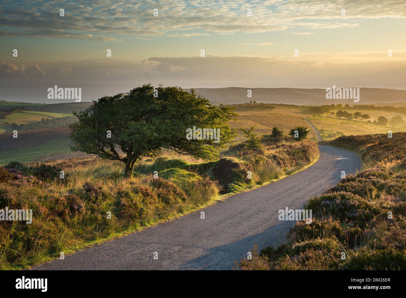 the road over Stoke Pero Common, Dunkery Hill, Exmoor National Park, Somerset, England, UK Stock Photo
