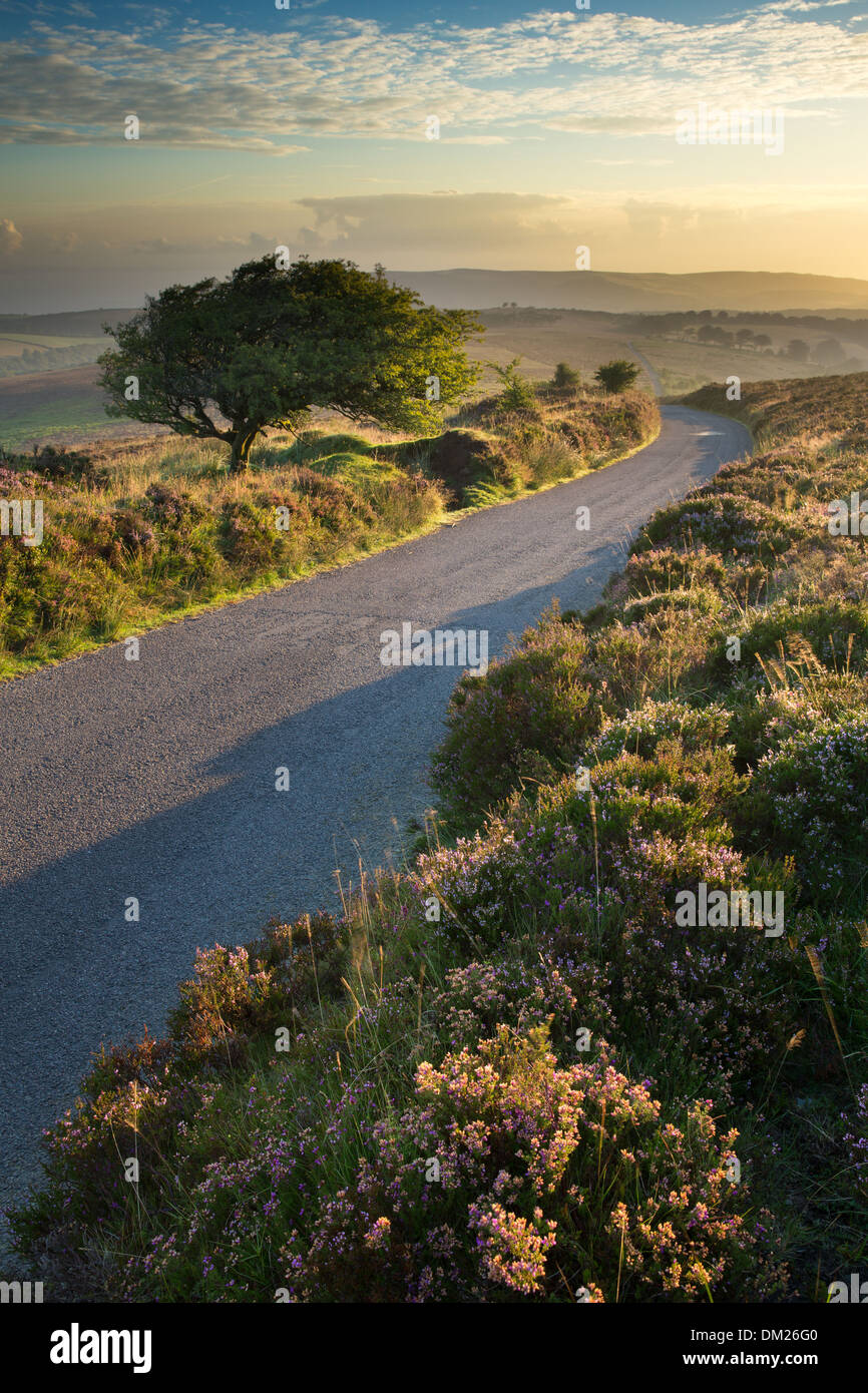 the road over Stoke Pero Common, Dunkery Hill, Exmoor National Park, Somerset, England, UK Stock Photo