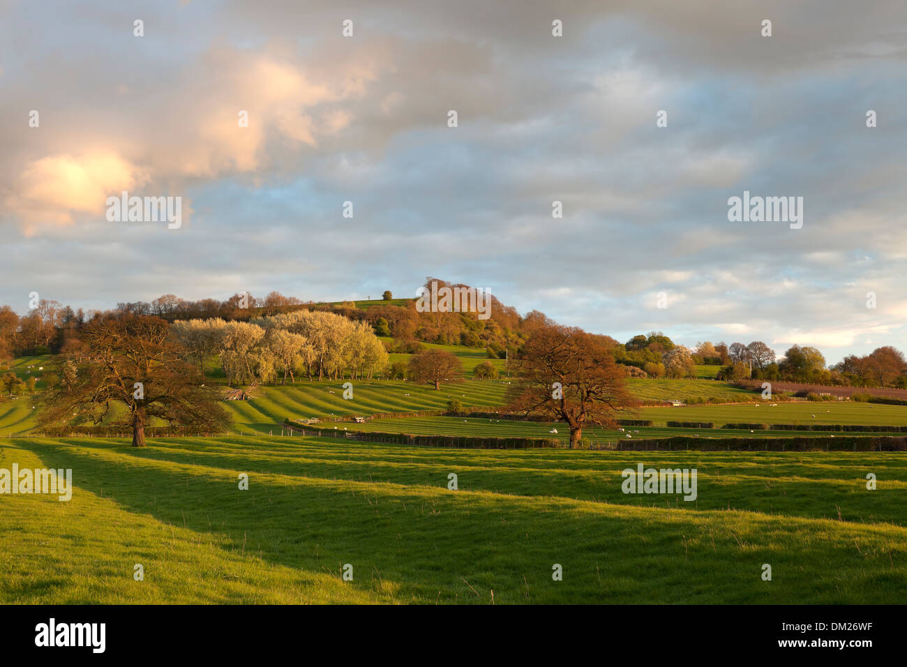 Ancient ridge and furrow field patterns, Warwickshire, England. Stock Photo