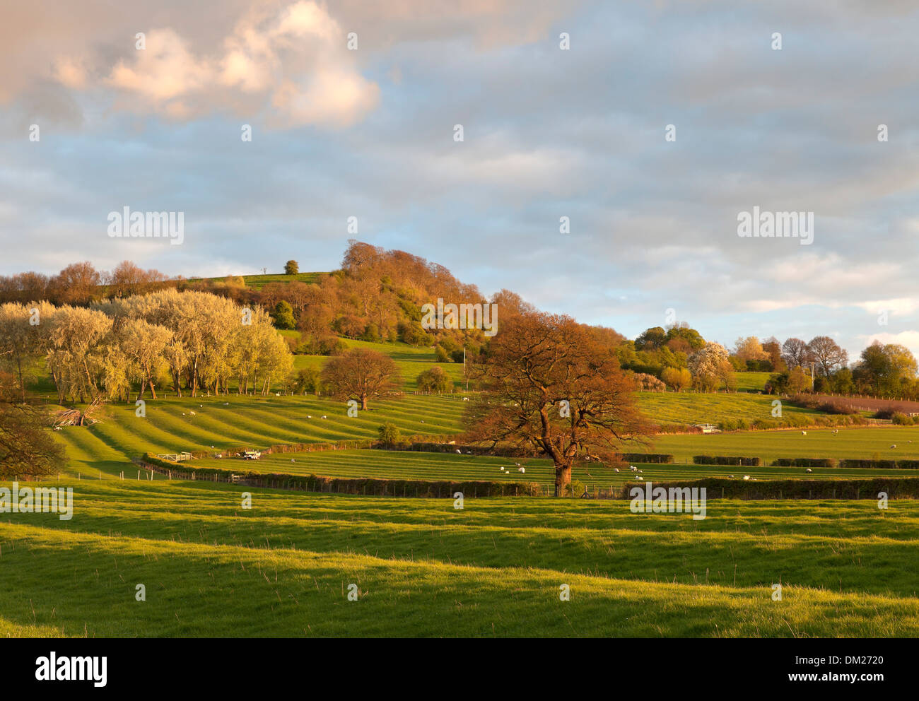 Ancient ridge and furrow field patterns, Warwickshire, England. Stock Photo