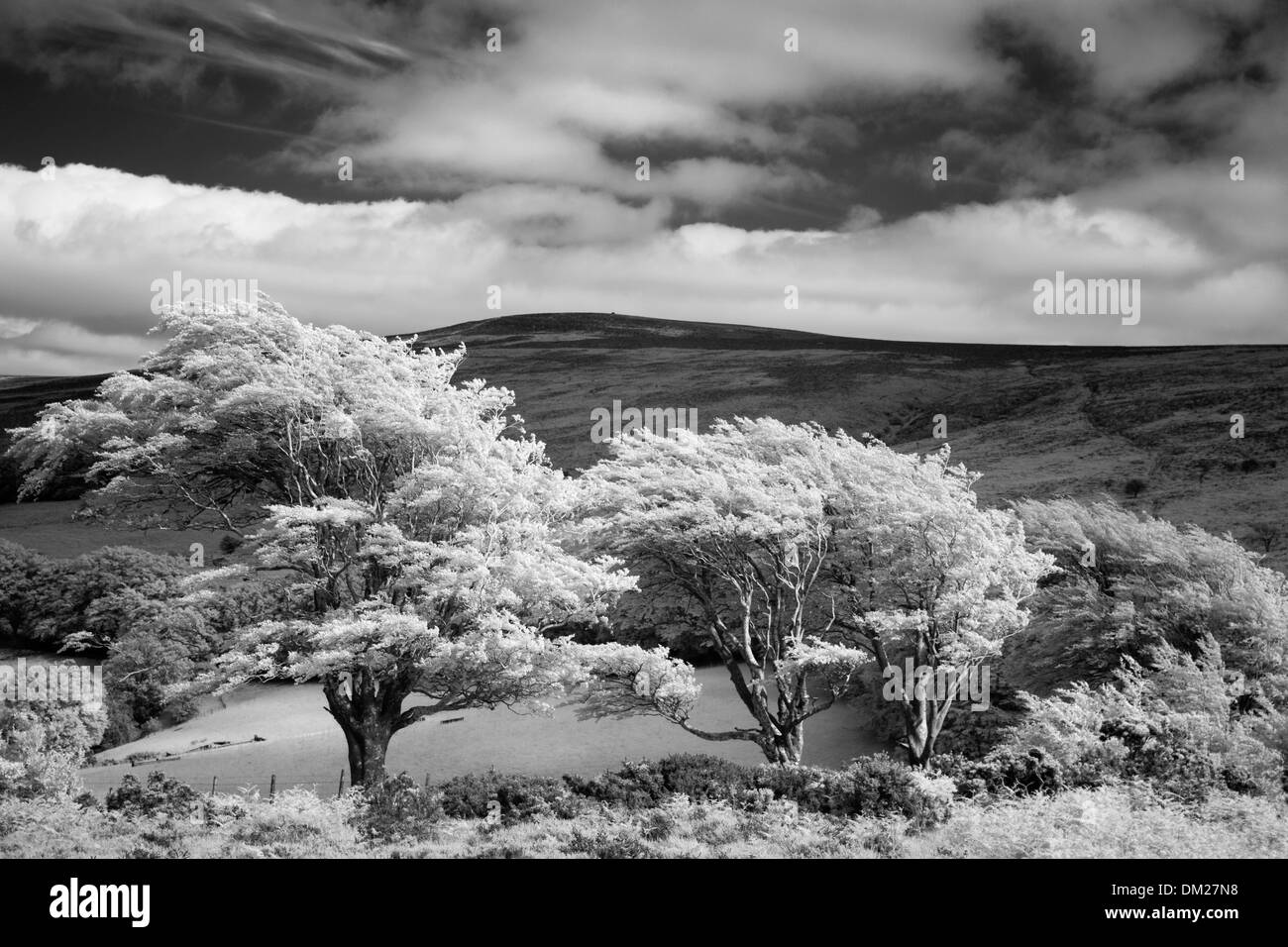 Dunkery Beacon & Bagley, Exmoor, Somerset Stock Photo Alamy