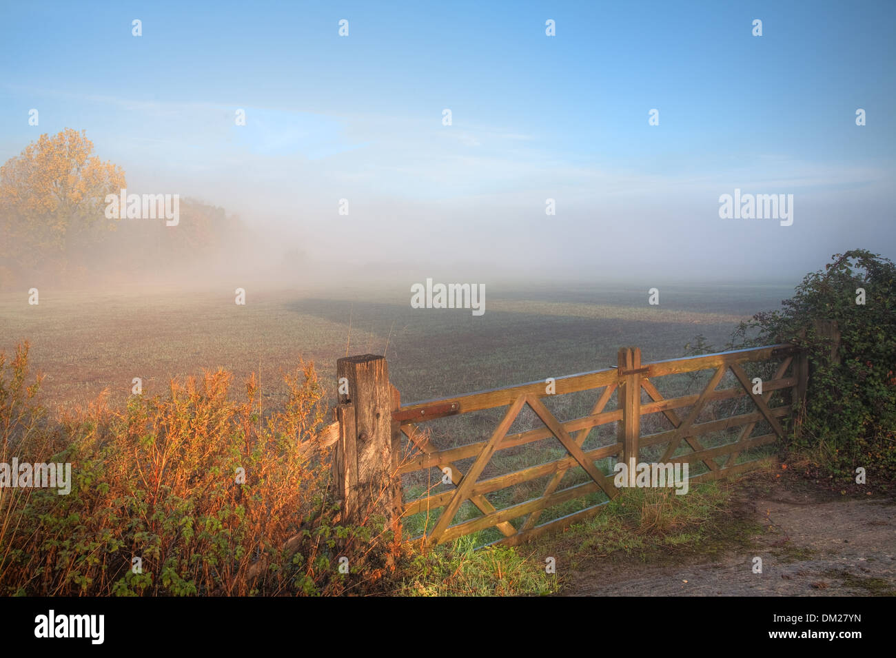 Misty countryside scene with 5-bar gate, Mickleton, Gloucestershire, England. Stock Photo