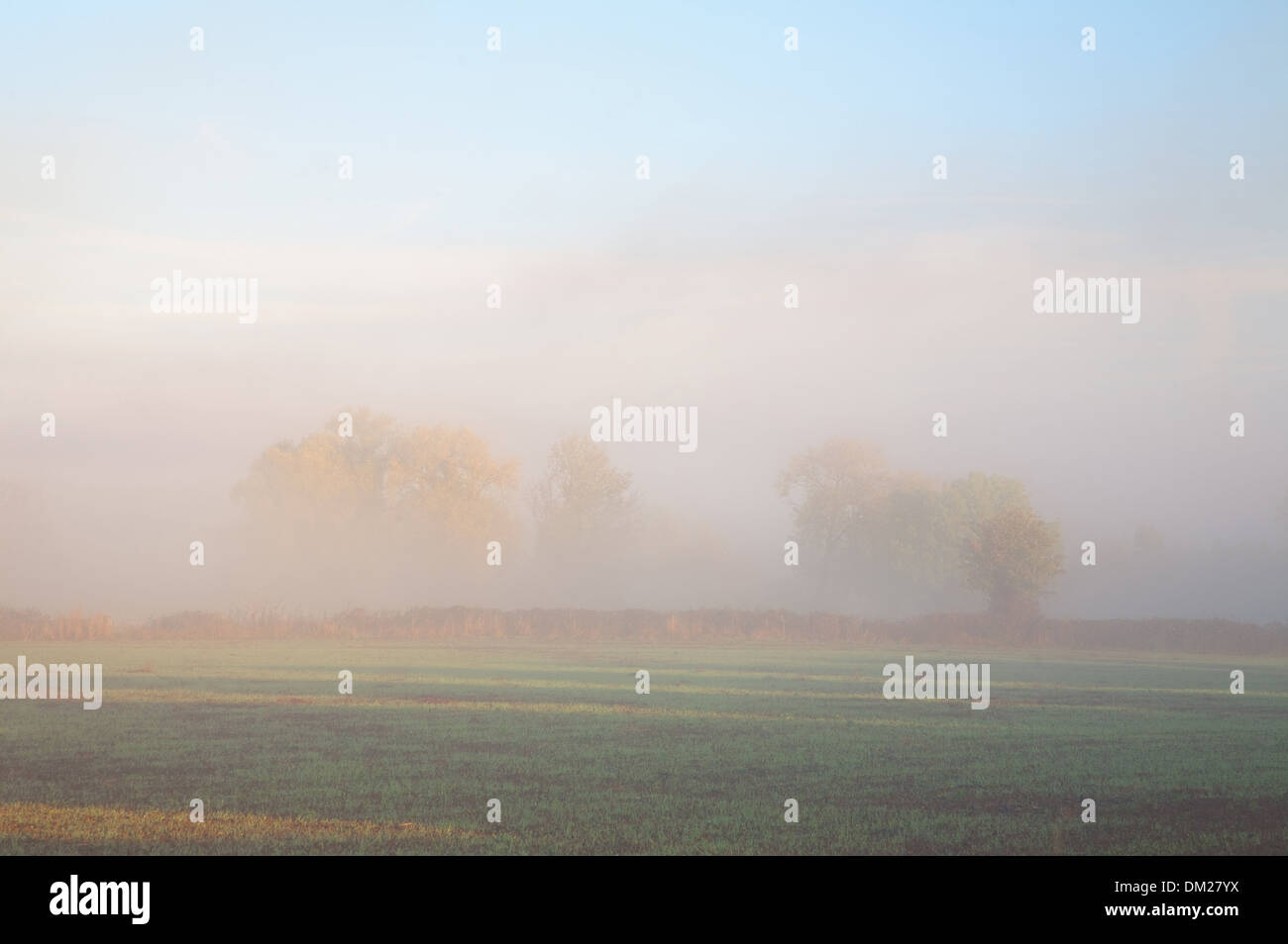 Looking over farmland through the morning mist, Mickleton, Gloucestershire, England. Stock Photo