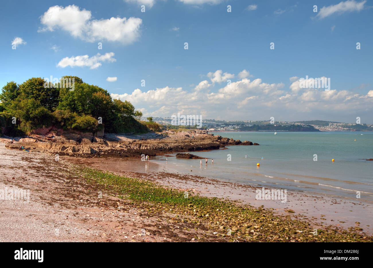 Summertime at Elberry Cove near Broadsands and Torquay, Devon, England