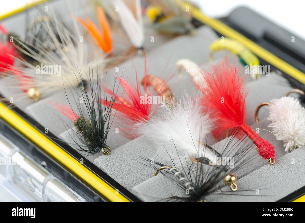 Fly bait hi-res stock photography and images - Alamy