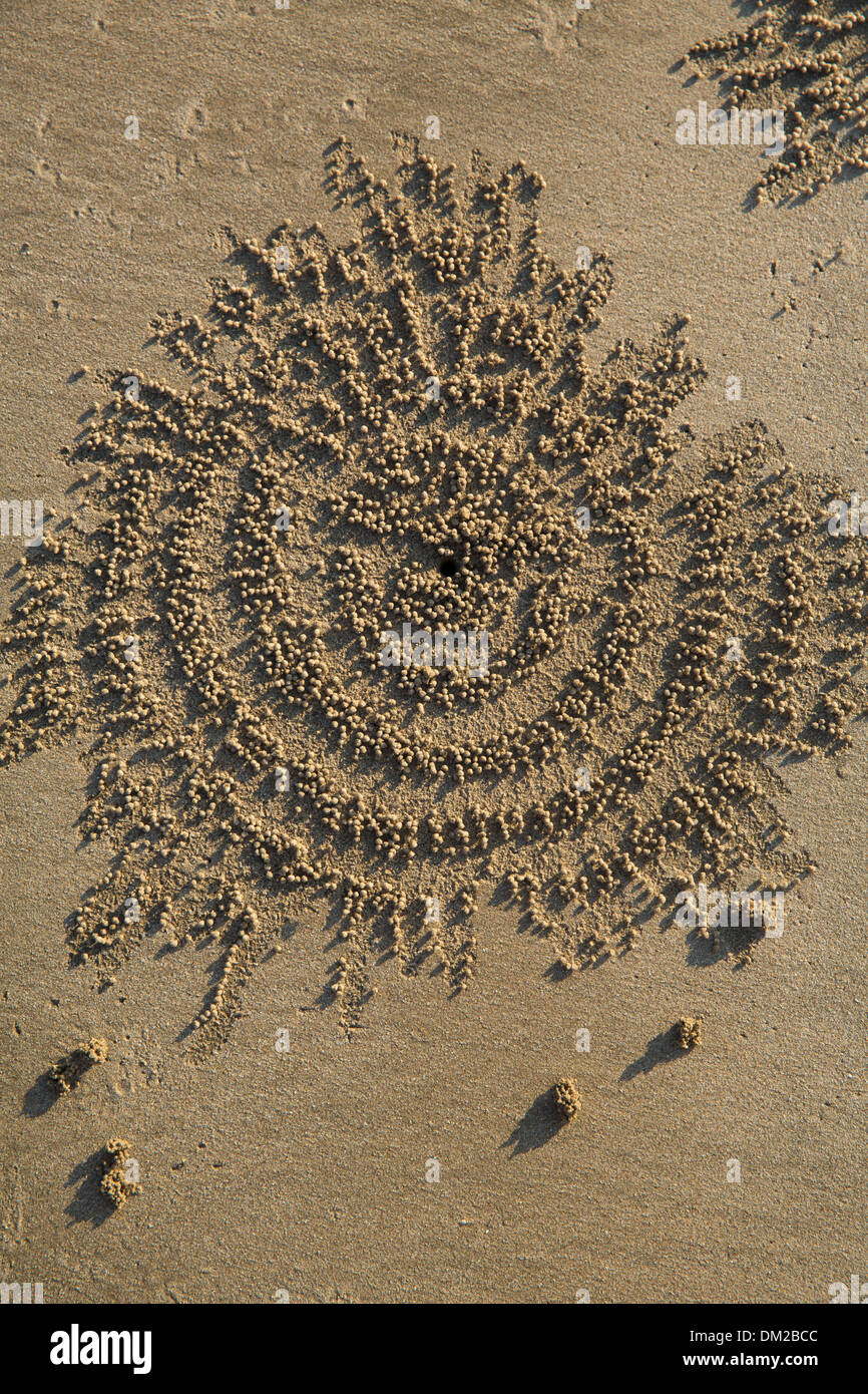 crab patterns in the sand on Ngapali beach at dusk, Rakhine, Myanmar (Burma) Stock Photo