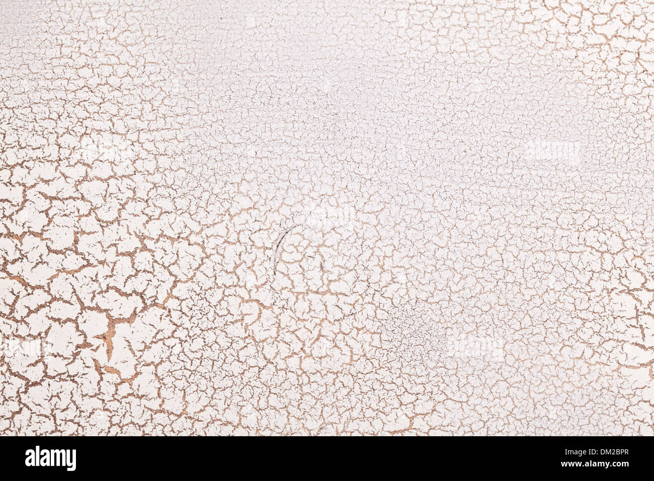 White wooden surface crazing. Craquelure. Stock Photo