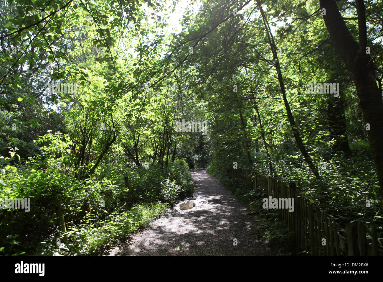 Hampstead Heath is a large, ancient park in North London covering 790 acres of green public space. Stock Photo