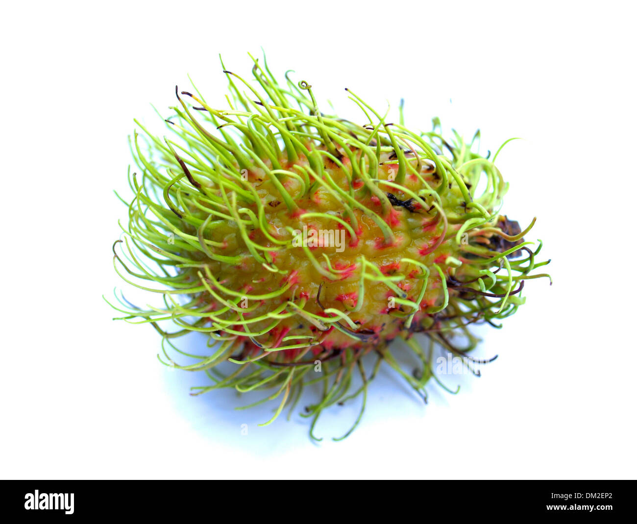 Tropical fruit, rambutan Stock Photo - Alamy