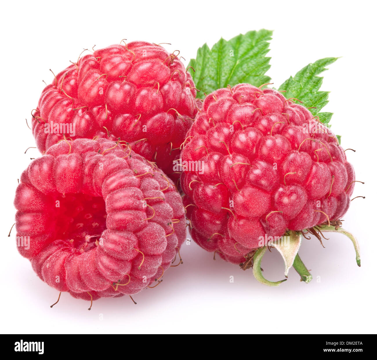 Raspberries with leaves isolated on a white background. Stock Photo