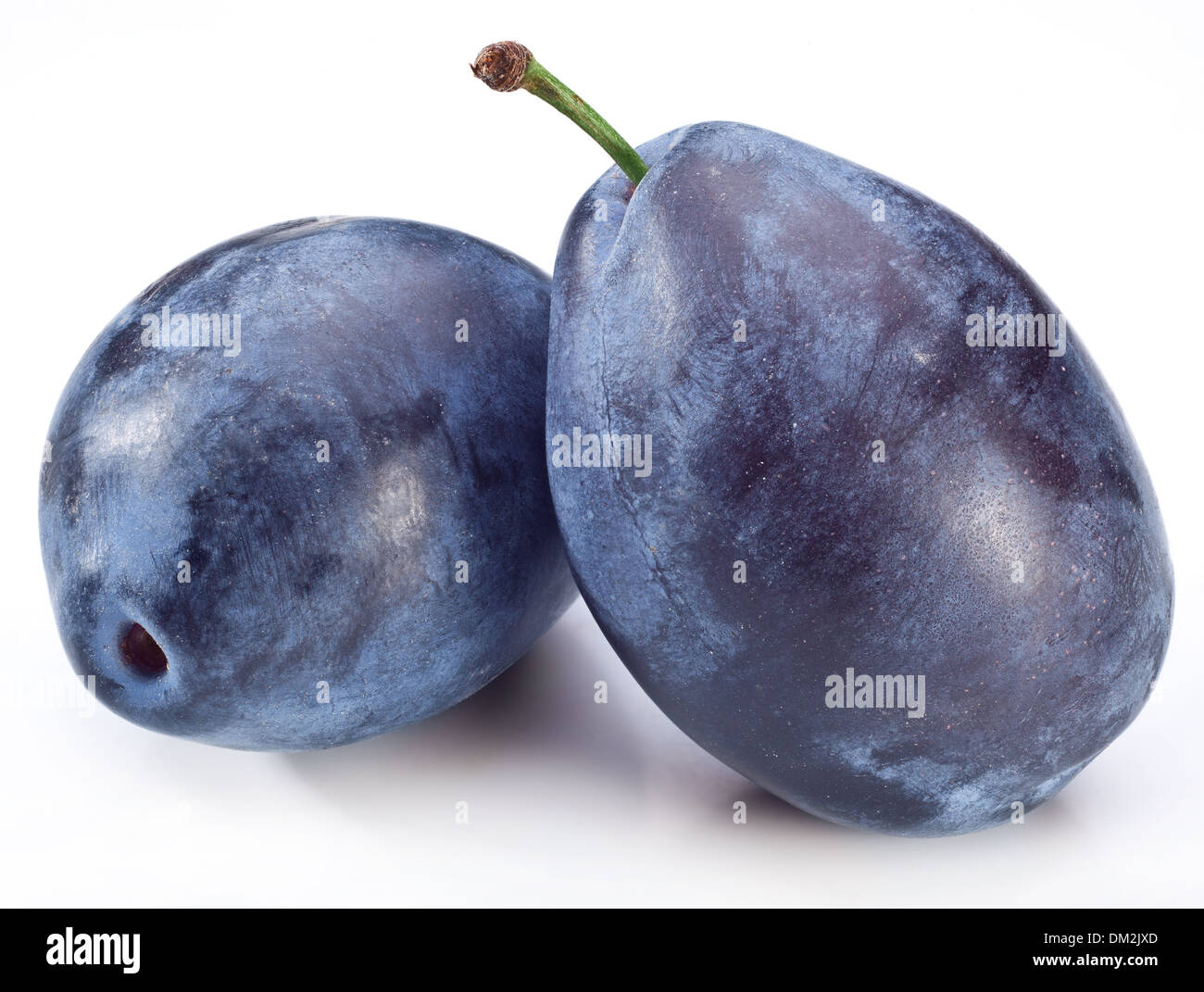 Two plums isolated on a white background. Stock Photo