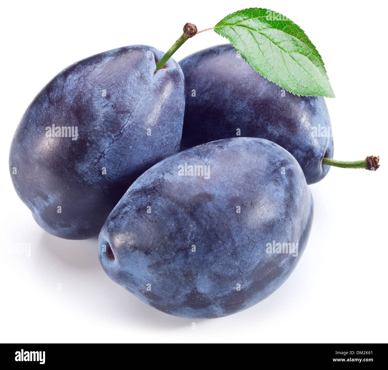 Three plums with leaf isolated on a white background. Stock Photo