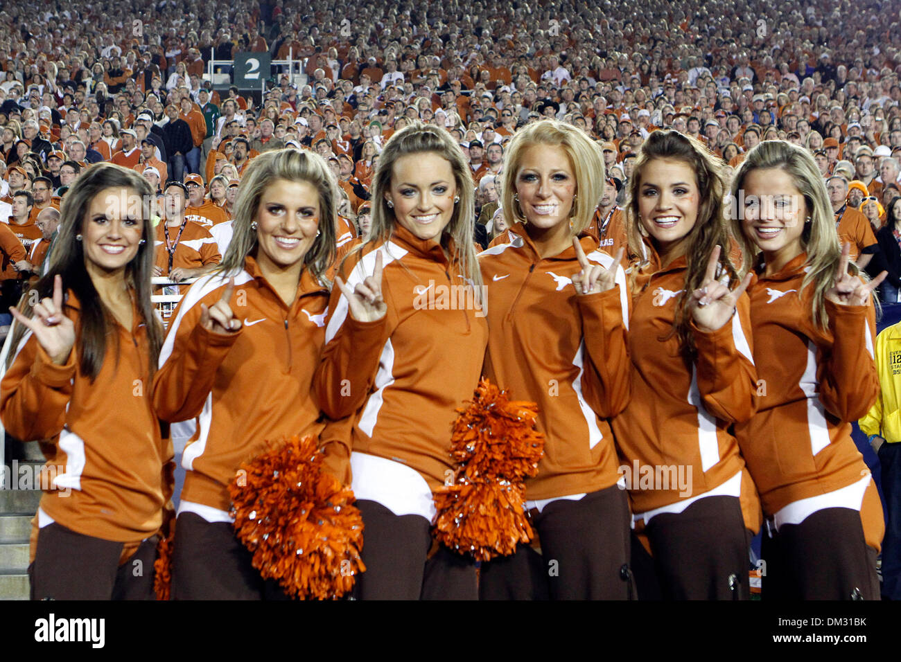 Member texas longhorn cheerleaders pose hires stock photography and