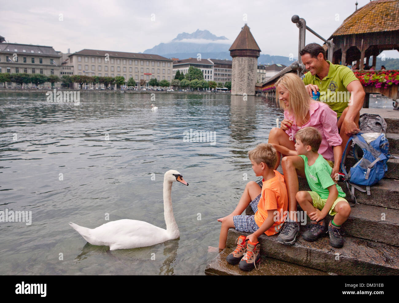 Switzerland, Europe, bridge, family, tourism, holidays, canton, LU, Lucerne, Reuss, central Switzerland, chapel bridge, swan, Stock Photo