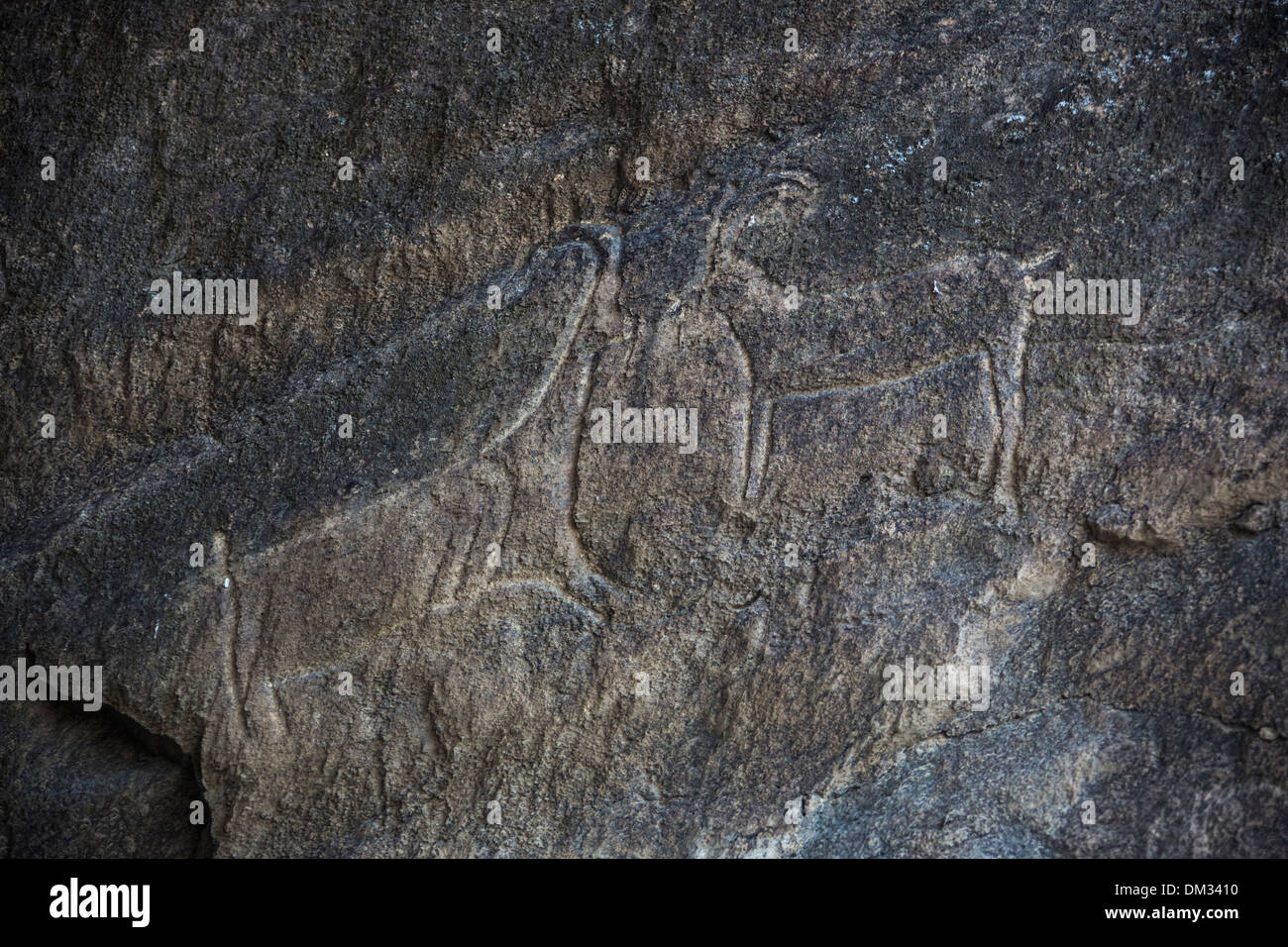 world heritage Azerbaijan Caucasus Eurasia Paleolithic Qobustan history historical museum open air petroglyphs prehistoric Stock Photo