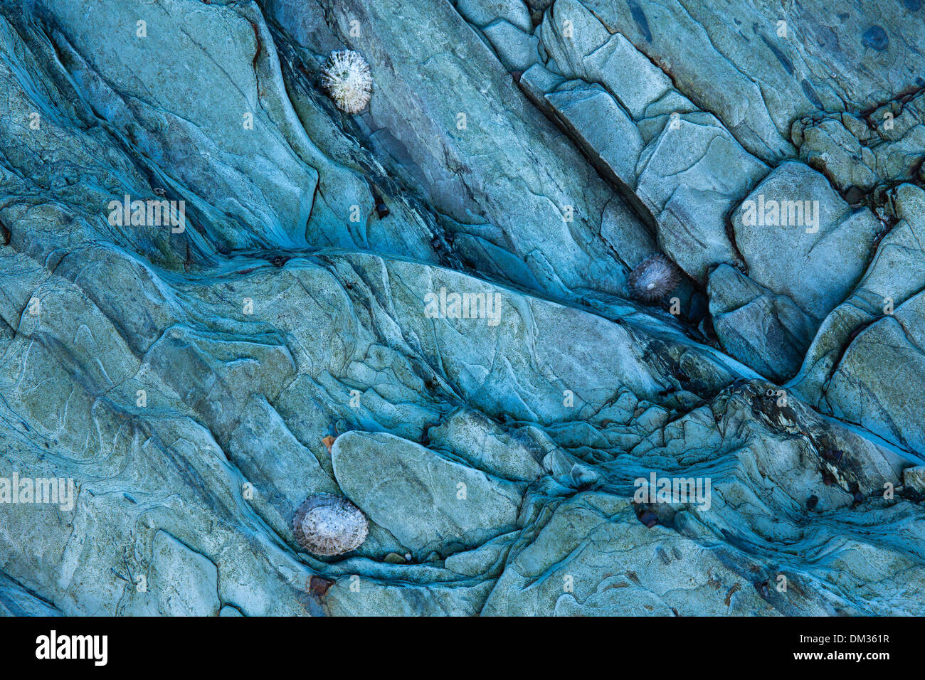 nature's textures; rocks on the beach at Whitesands, nr St David's, Pembrokeshire, Wales Stock Photo