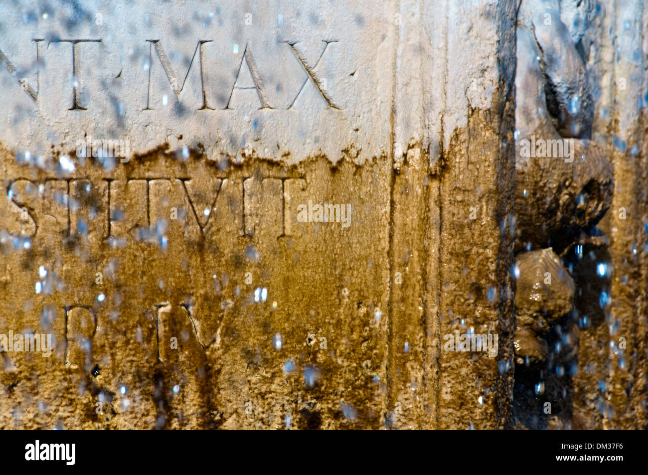 Biofilm fungus hi-res stock photography and images - Alamy