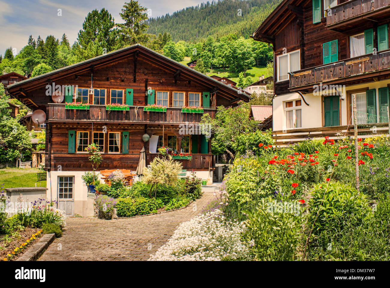 Chalet buildings in Wengen village Switzerland Stock Photo Alamy