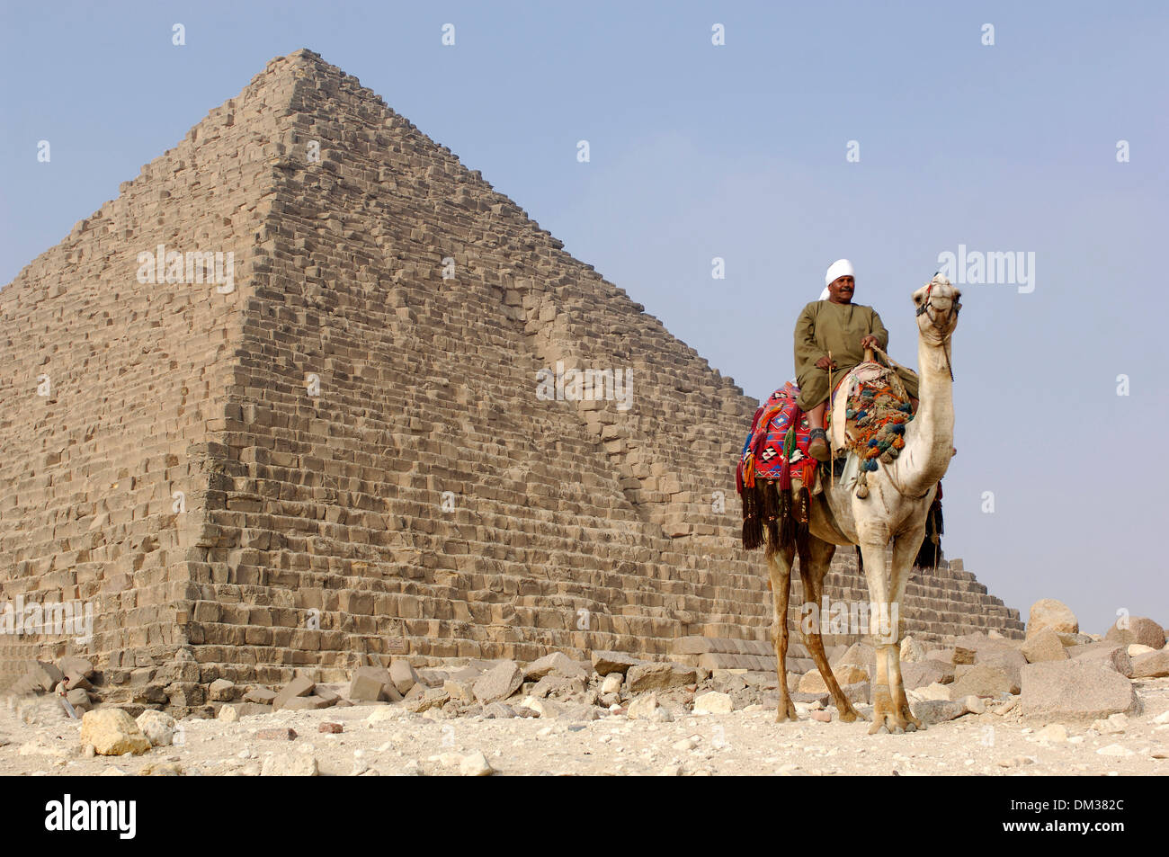 Africa, Middle East, Egypt, Cairo, Gizeh, Giza, pyramid, camel, ancient