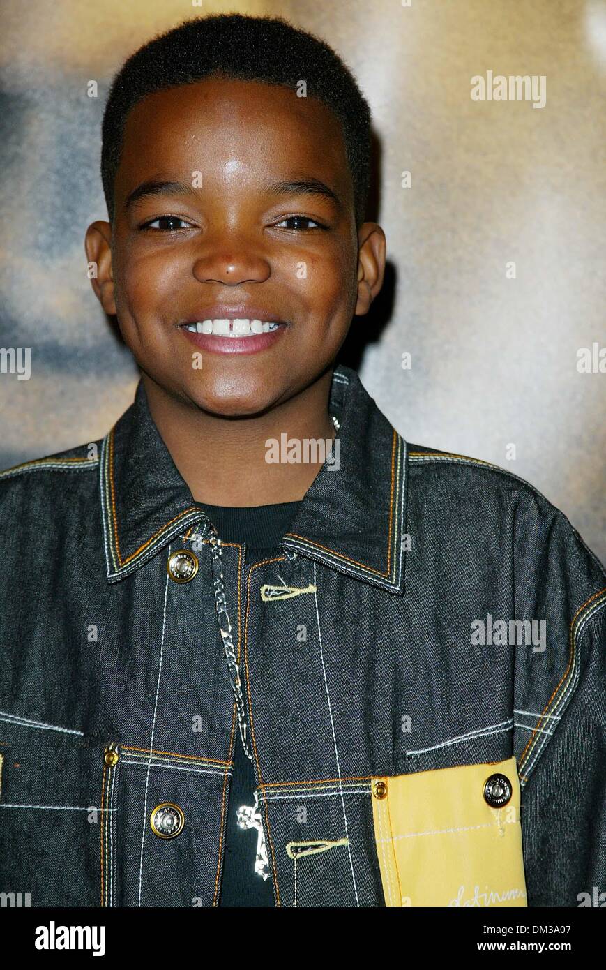 Feb. 7, 2002 - Los Angeles, CALIFORNIA - JOHN Q PREMIERE.AT DIRECTORS QUILD  OF AMERICA IN LOS ANGELES .DANIEL E. SMITH. FITZROY BARRETT / 2-7-2002  K23969FB (D)(Credit Image: © Globe Photos/ZUMAPRESS.com Stock Photo - Alamy