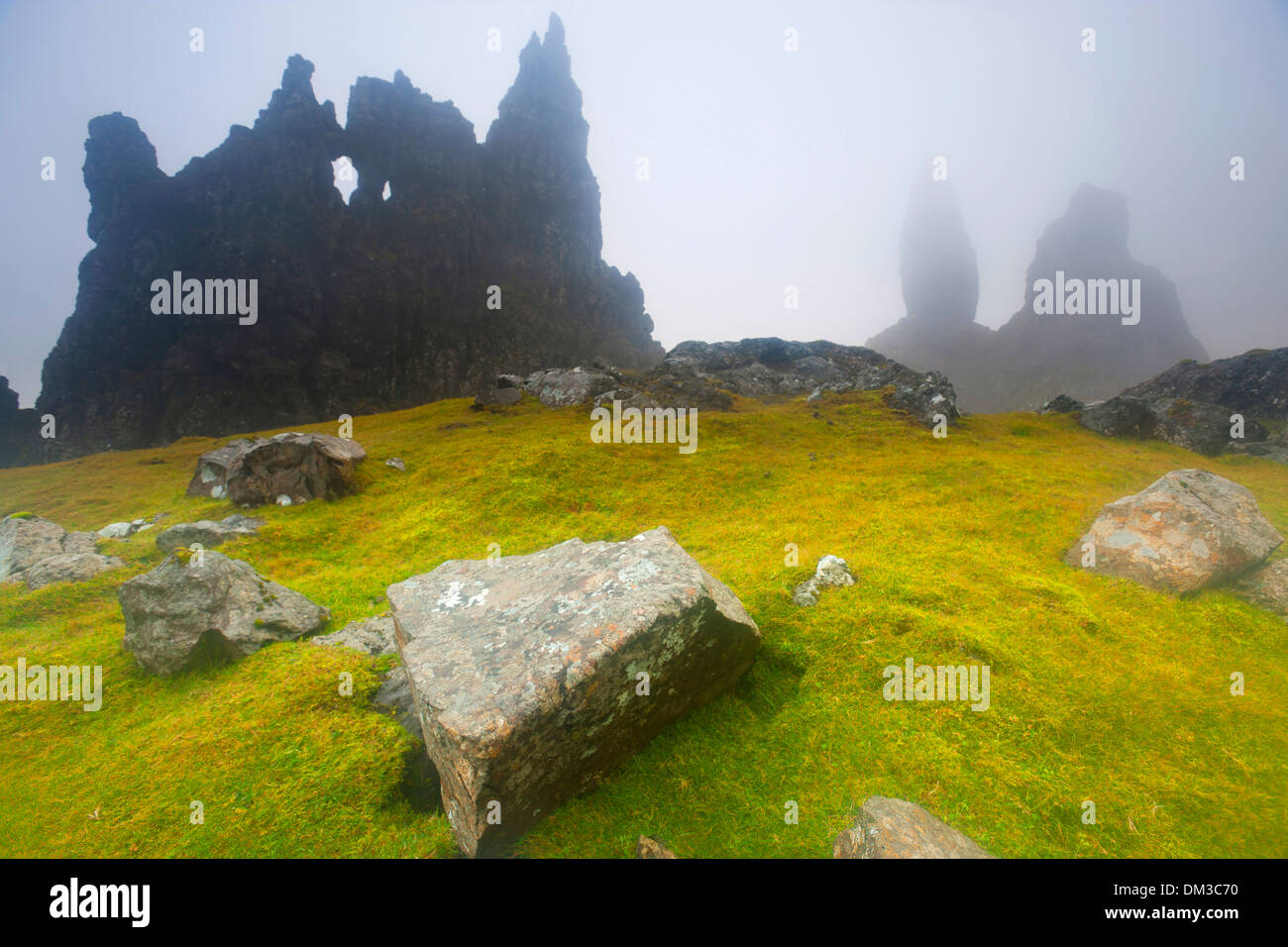 Old Man of Storr, Old Man, Storr, Great Britain, Europe, Scotland, island, isle, Skye, meadow, rock, cliff, erosion, fog Stock Photo