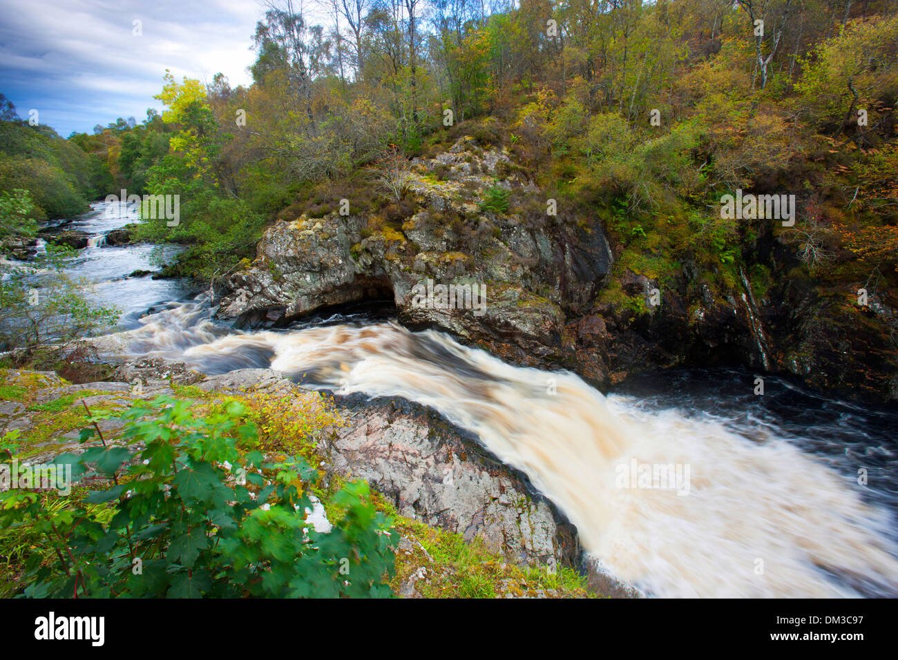 Shin Falls, Great Britain, Europe, Scotland, wood, forest, river Stock