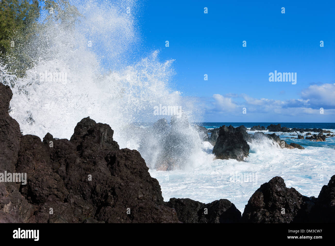 Laupahoehoe, Point, USA, United States, America, Hawaii, Big Island, sea, Pacific, rock, cliff