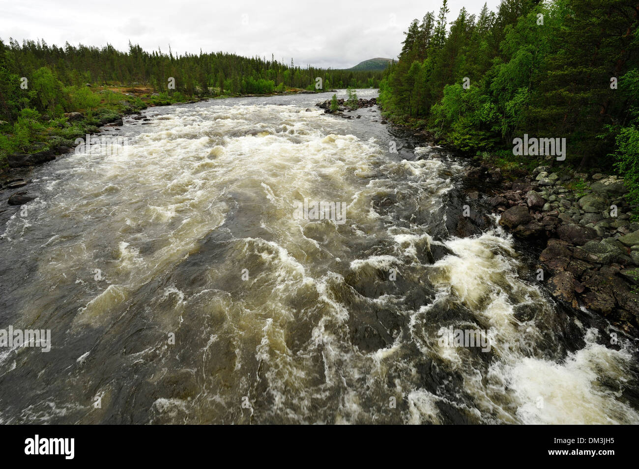 river, river side, Elv, rapids, Grøndalen, scenery, Hedmark, Norway, Europe, Stock Photo