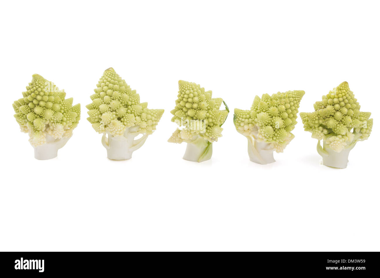 Freshly cut romanesco broccoli (Brassica oleracea) pieces on a white background Stock Photo