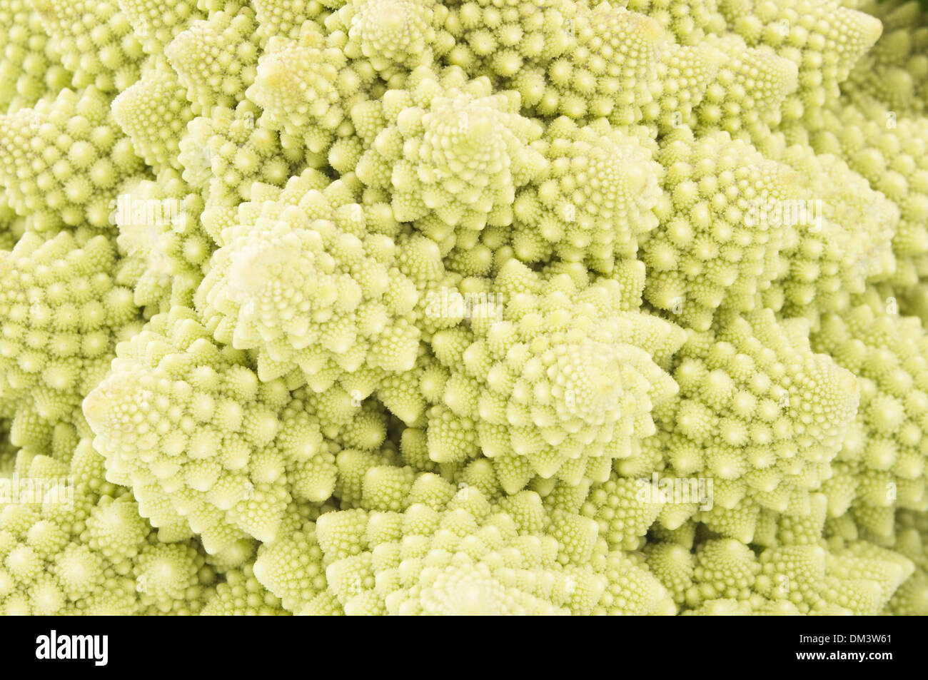Macro photo of fresh cabbage Romanesco Stock Photo