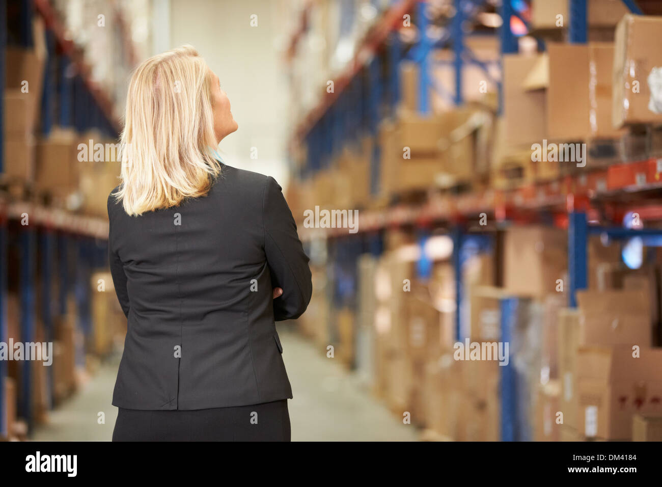 Rear View Of Female Manager In Warehouse Stock Photo