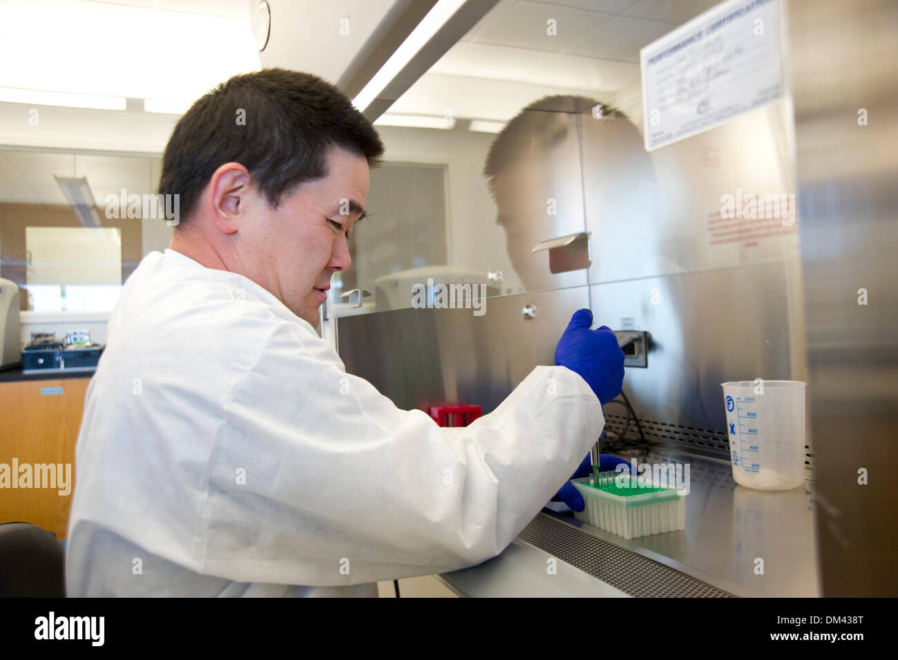 Atlanta, Georgia, USA. 27th Aug, 2013. August 27, 2013, Atlanta, Georgia - A member of the Center for Disease Control's (CDC) Elimination and Control Team works in the team's lab on the CDC campus. The team is tasked with combatting a host of parasitic diseases that together fall into the category of neglected tropical diseases. © David Snyder/ZUMAPRESS.com/Alamy Live News Stock Photo