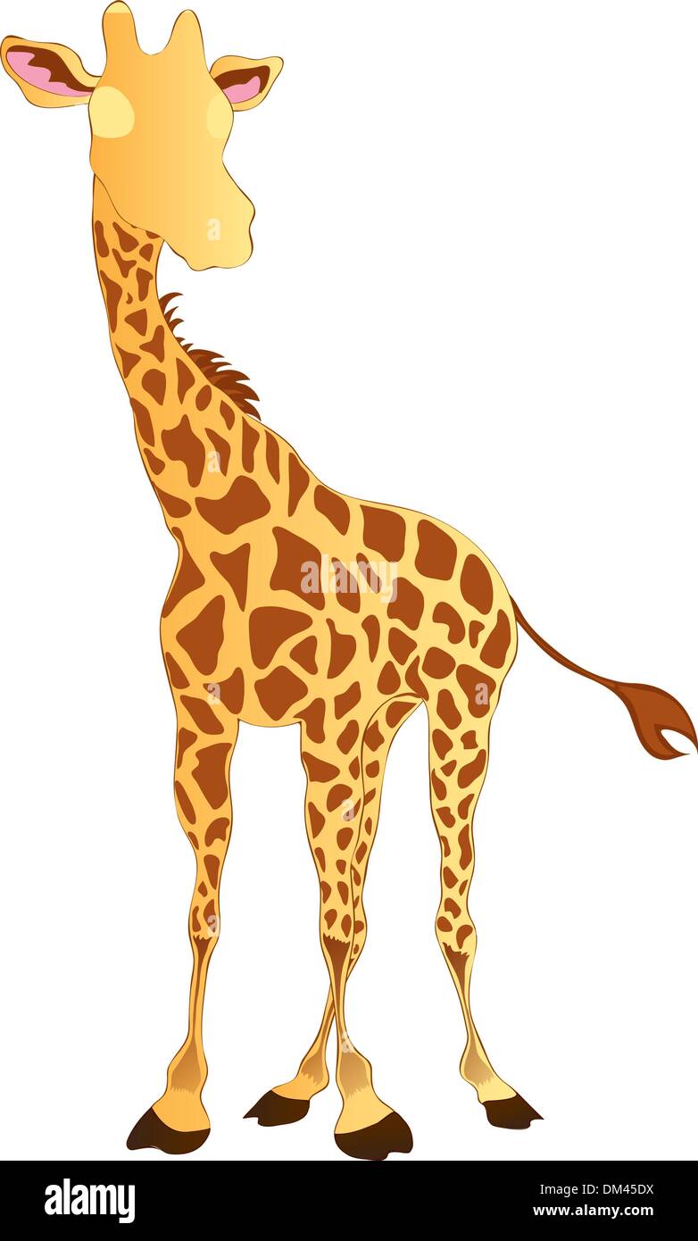 Giraffe hoof Stock Vector Images Alamy