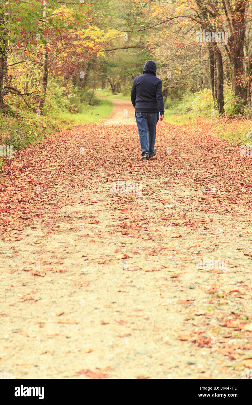 Hooded man walking in a forest full of autumn leaves Stock Photo - Alamy