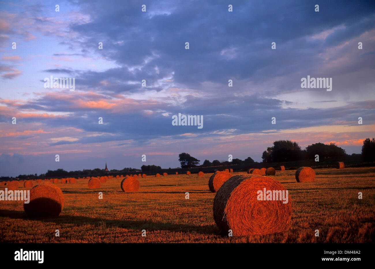 Straw bales on field at sunset, Strohballen auf Feld im Sonnenuntergang Stock Photo