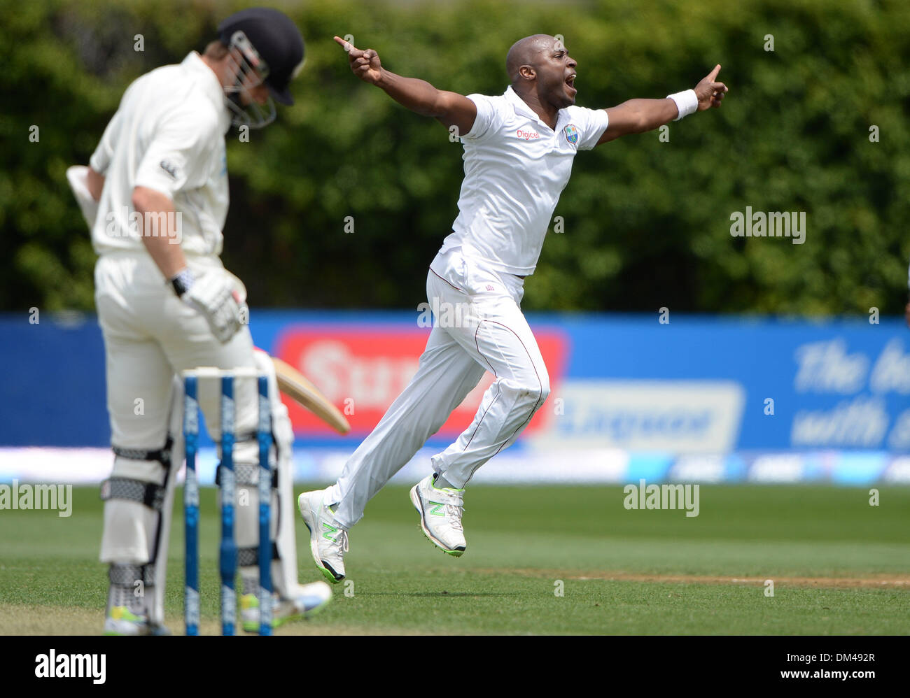 Gorgeous Black Caps V West Indies: Williamson Falls, Conway Bats On After Passing 200 Picture Photography Gorgeous Black Caps V West Indies: Williamson Falls, Conway Bats On After Passing 200 Picture Photography