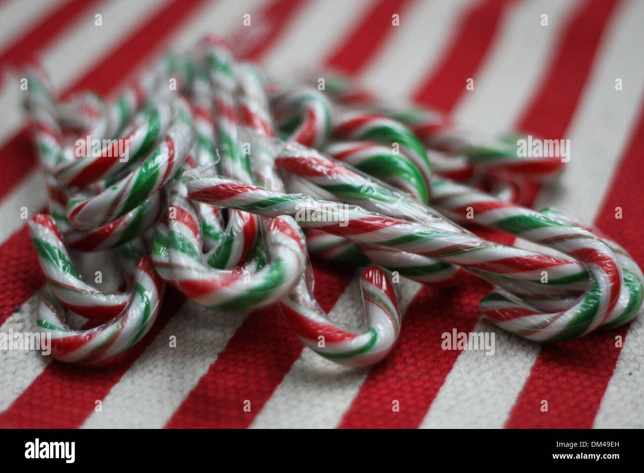 Candy Canes are a traditional sweet treat during the Christmas season. Stock Photo