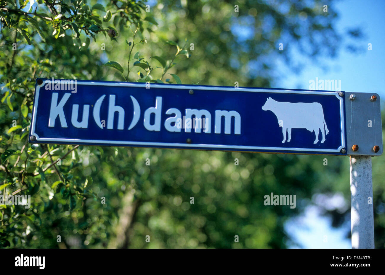 Street sign Kuhdamm, Straßenschild Kuhdamm Ku(H)damm, Kudamm, Ku’damm Stock Photo