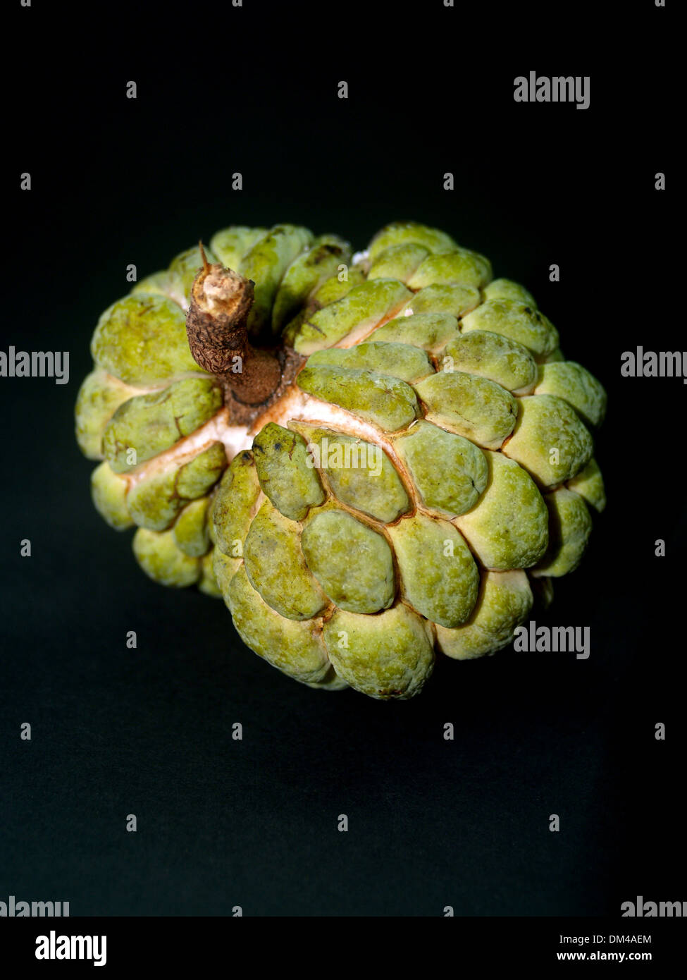 Sugar Apple fruit Stock Photo Alamy
