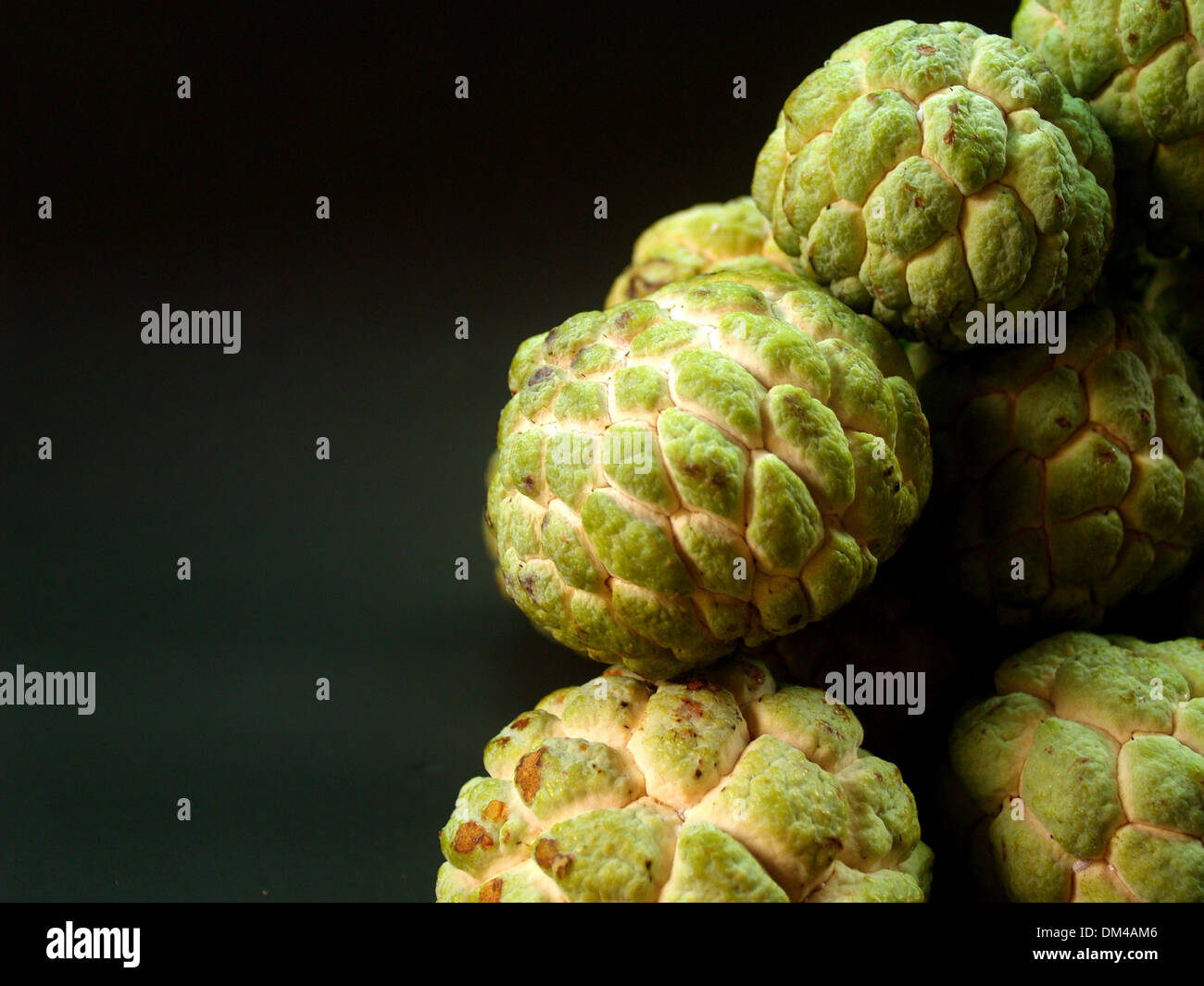 Sugar Apple fruit Stock Photo Alamy