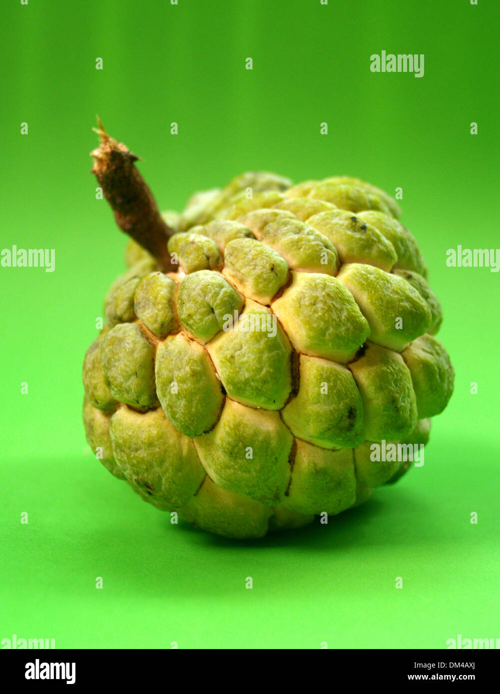 Sugar Apple fruit Stock Photo Alamy