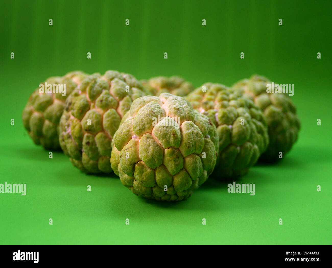 Sugar Apple fruit Stock Photo Alamy