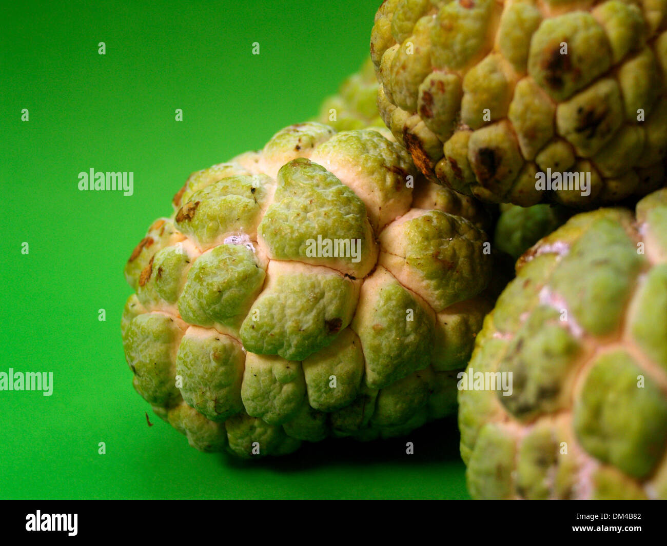 Sugar Apple fruit Stock Photo Alamy