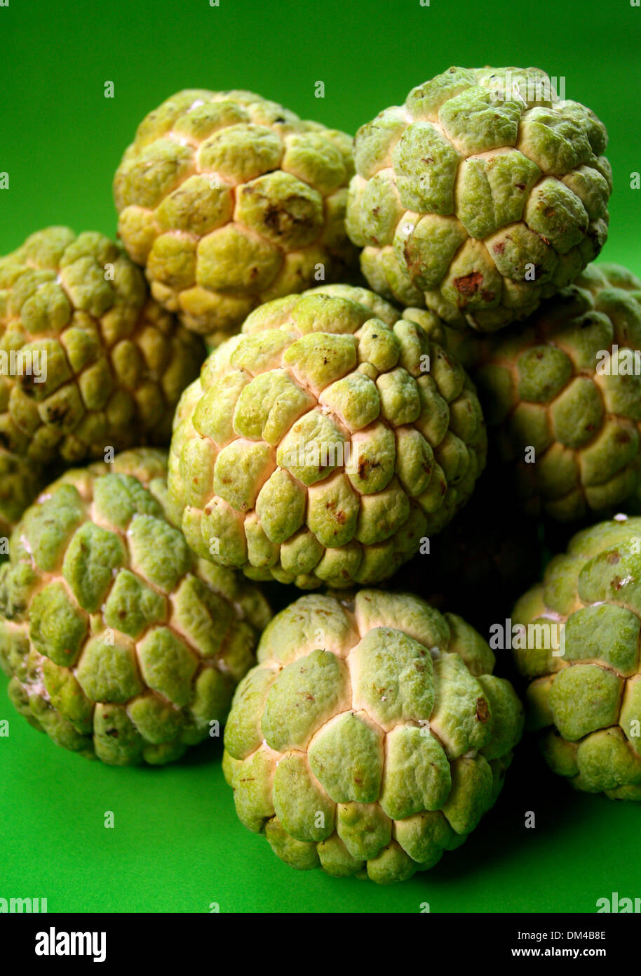 Sugar Apple fruit Stock Photo Alamy