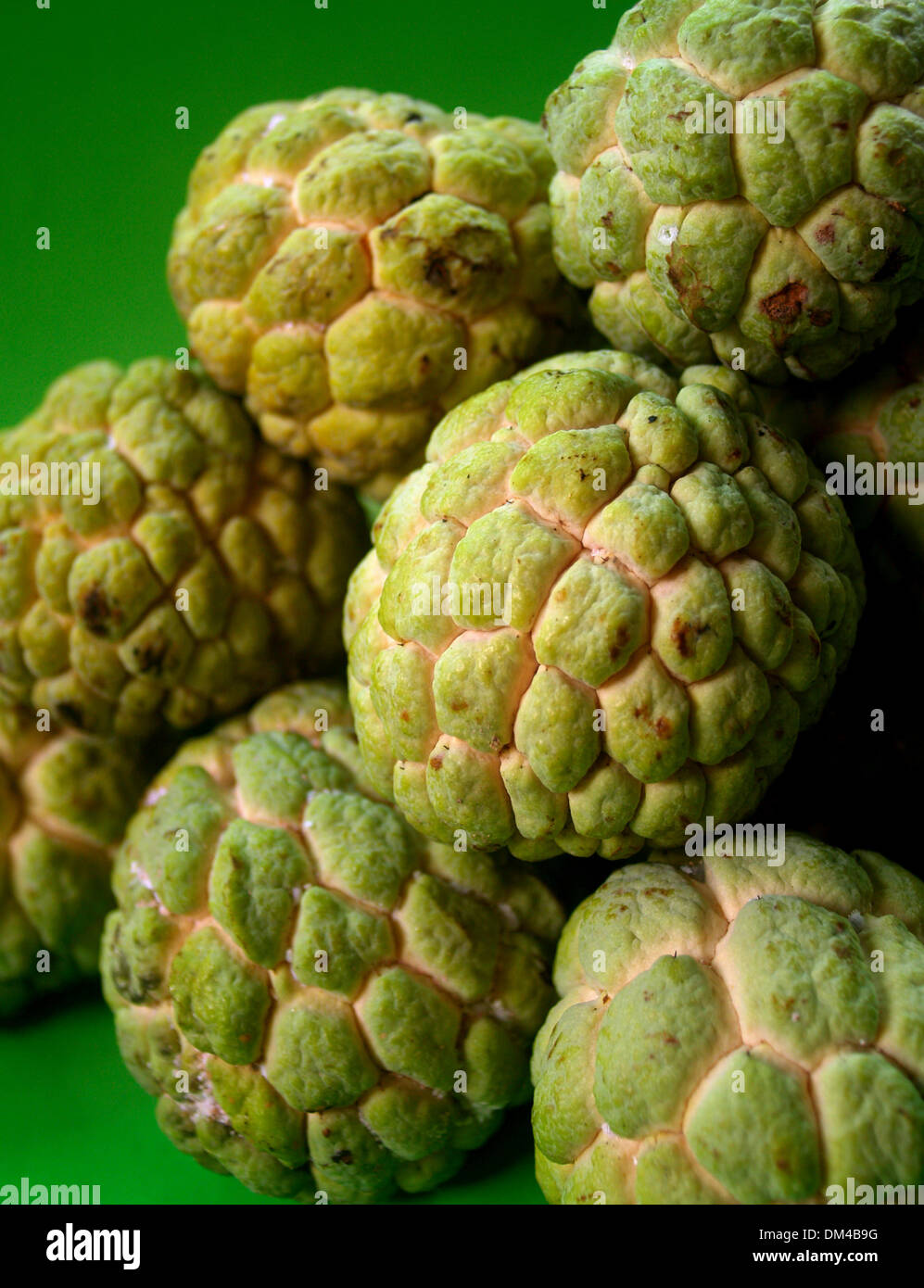 Sugar Apple fruit Stock Photo Alamy