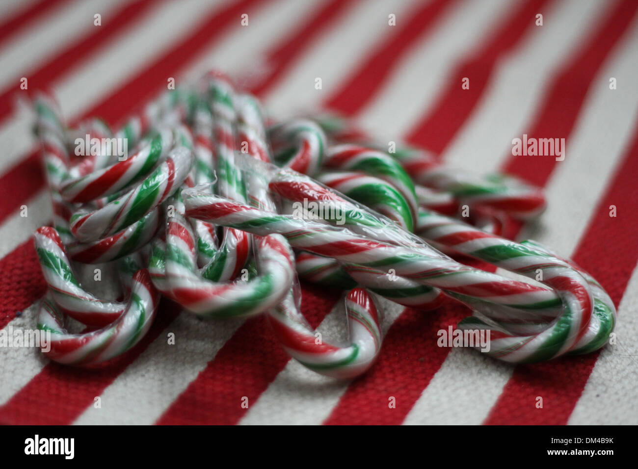 Candy Canes are a traditional sweet treat during the Christmas season. Stock Photo