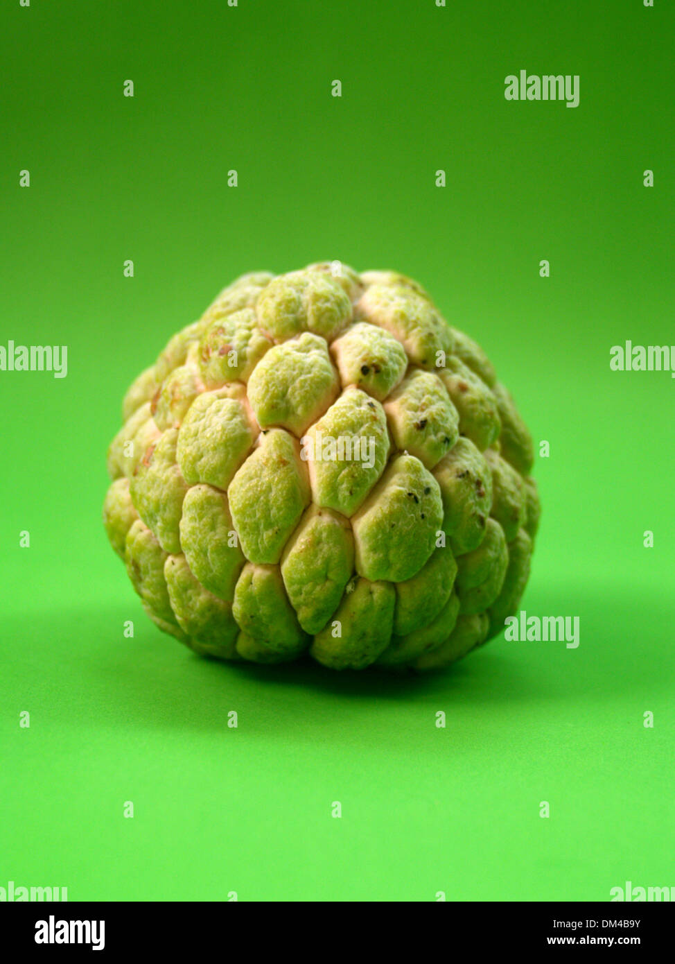 Sugar Apple fruit Stock Photo Alamy