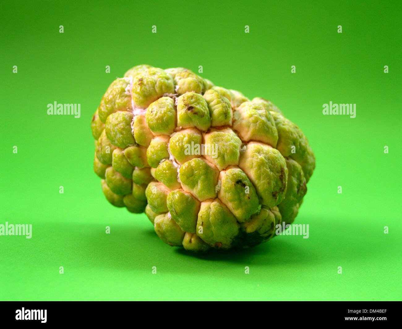 Sugar Apple fruit Stock Photo Alamy