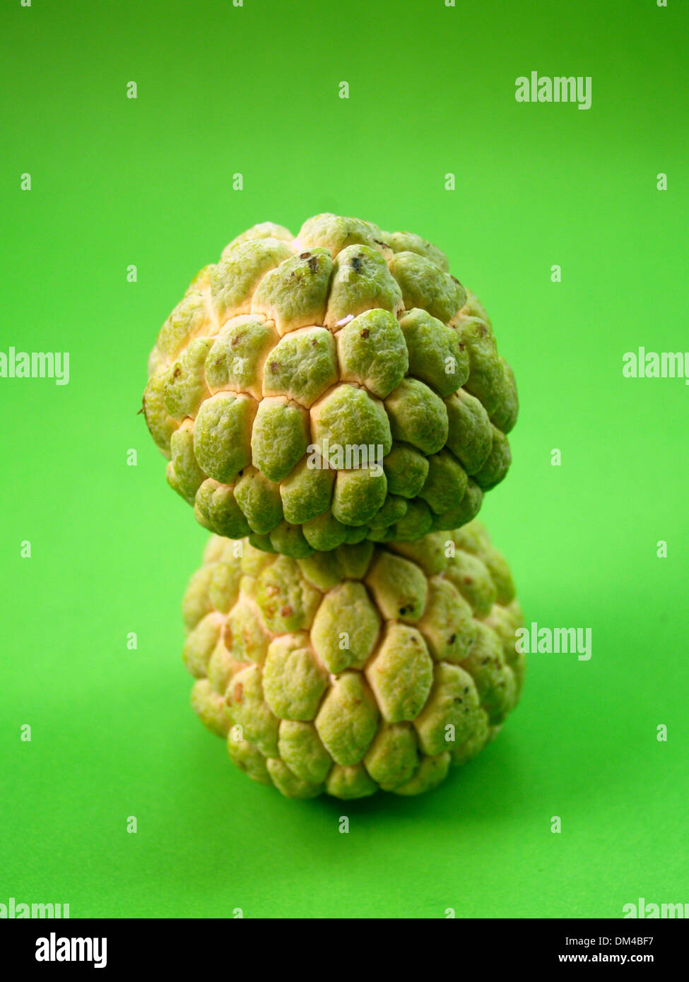 Sugar Apple fruit Stock Photo Alamy