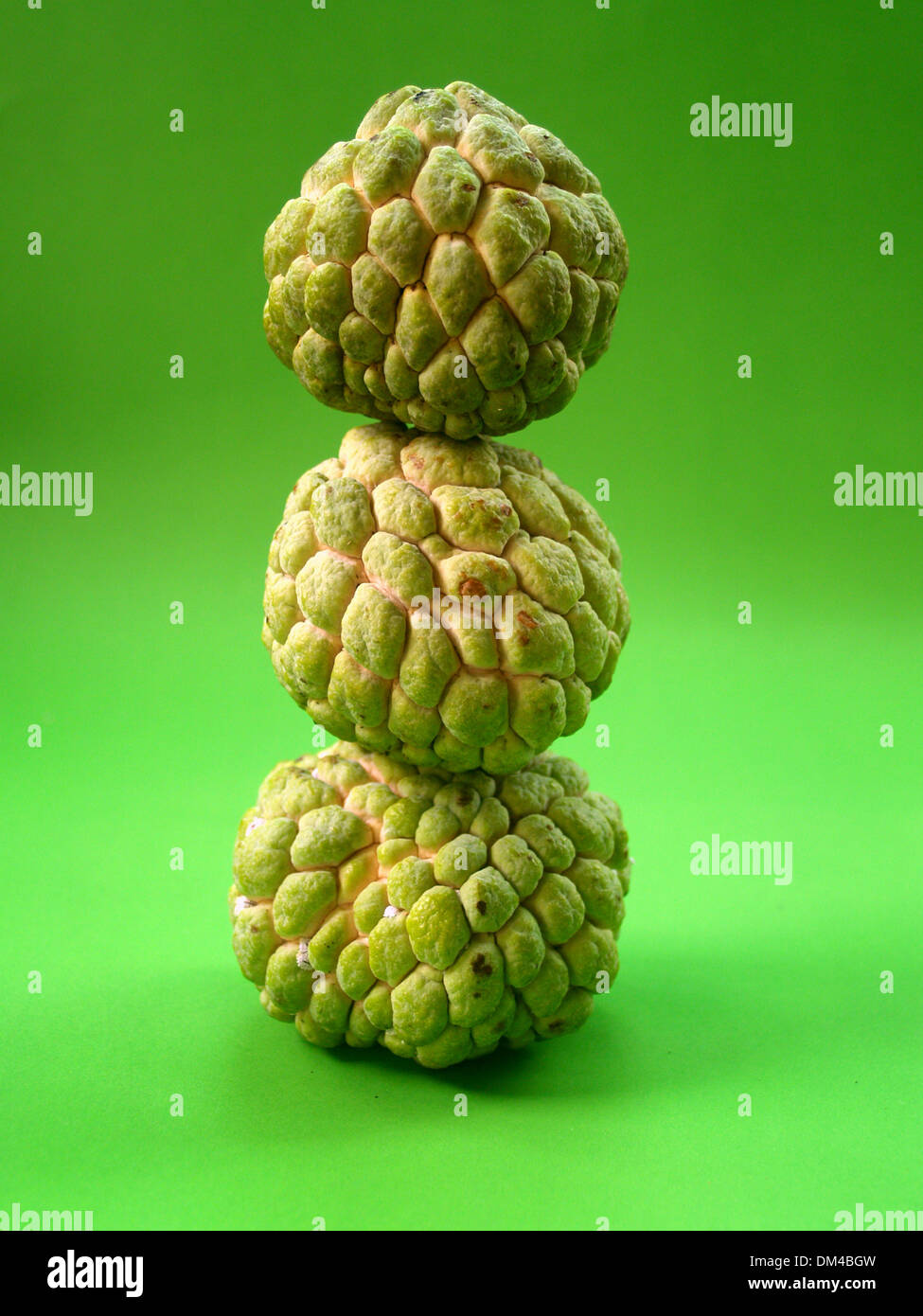 Sugar Apple fruit Stock Photo Alamy